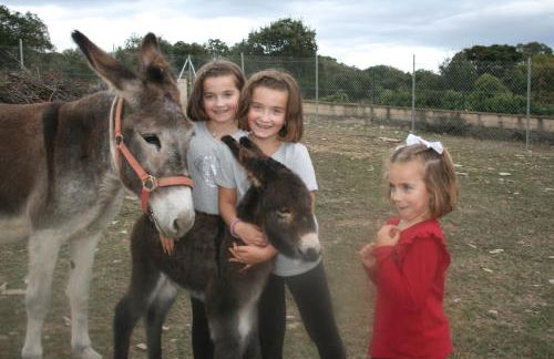 La Granja De Vitoria - Foto 2