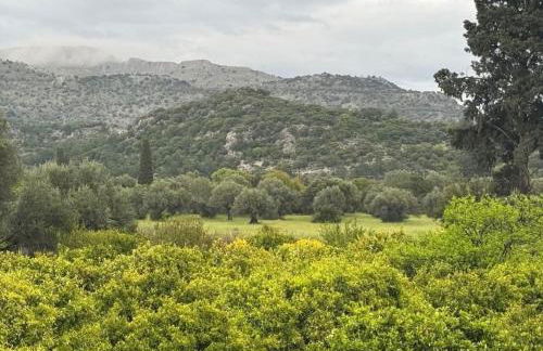 Flora's Traditional House - Foto 68