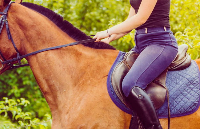 Chianti Horse Riding Tour - Photo 2