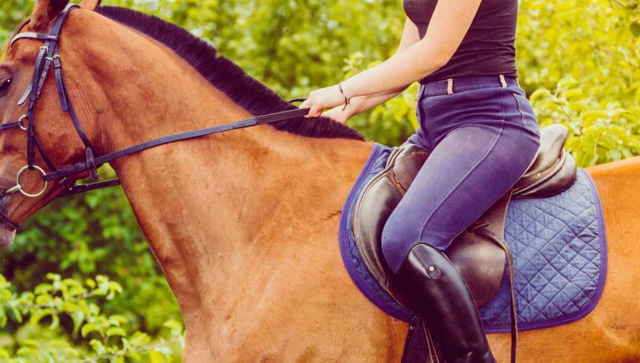 Chianti Horse Riding Tour - Foto 2