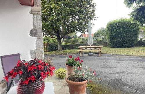 Hiriarteberria - Foto 18