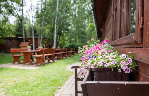 Ferienhof Falkenau - Foto 17