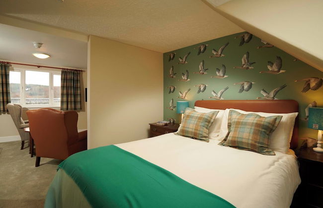 Downright Gabbler - Foto 40