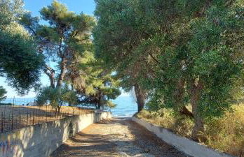 MARINE SEA VIEW MOLA KALIVA Halkidiki - Foto 25