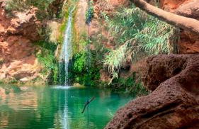 Portugals Infinity Eco Suite Resort - Foto 59