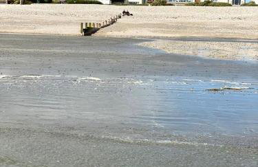 3 The Moorings, East Wittering - Photo 18