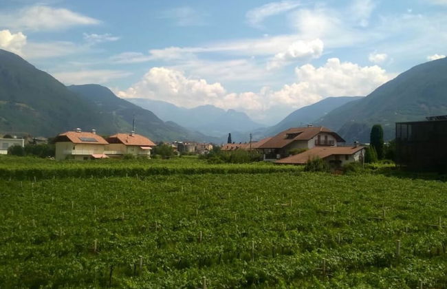 Magdalena at the Urbanhof - Foto 14