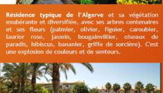 Nice 2 bedroom apartment groundfloor swimming pool - Foto 3