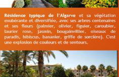 Nice 2 bedroom apartment groundfloor swimming pool - Foto 3