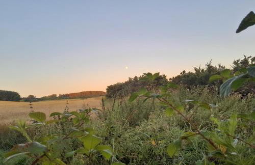 The Boathouse - Foto 23