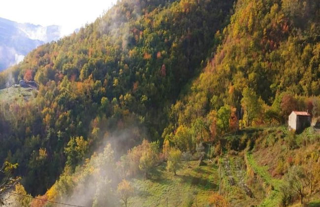 Scenic Apartment With Pool - Foto 32