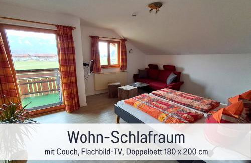 Bauernhof Finkel - Ferienwohnungen mit Balkon - Bergsicht - Traktor mitfahren - Tiere streicheln - entspannter Familienurlaub - zentrale Lage nahe Oberstdorf - Foto 10
