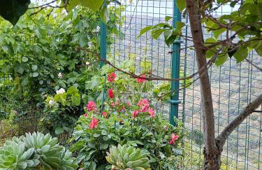 Casa cueva El Balcón del Cortijo - Foto 21