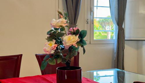 Apartamento Parque Romano - Foto 4