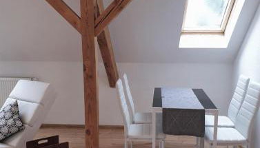 Vogelnest Riesa - Foto 3