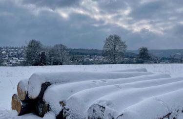 Schwarzwald - Modern mit Terrasse - Foto 1