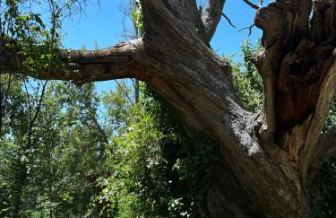 Mevak Home Alpujarra - Foto 11