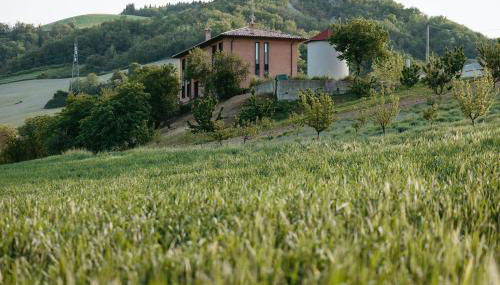 La CANOVA - Foto 2, Garden view