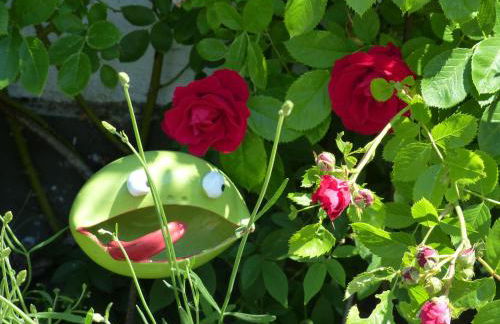 Ferienwohnung Eifelrose - Foto 11