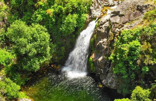 Casa das Catrinas - Photo 19