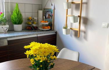 Oliveira House - Photo 51