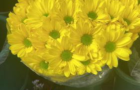 Laghi di Como appartamento di Licinia e Mario - Foto 21