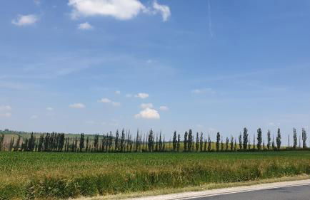 Ferienwohnung Sonnenschein Familie Hamdorf - Photo 51