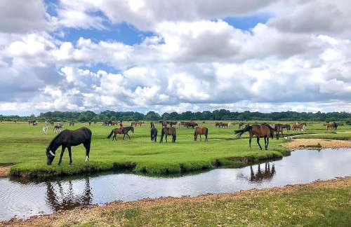 The Annexe The Roost - Foto 13