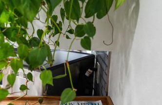 50 M to Sand LGB 2 King Suites - Foto 75