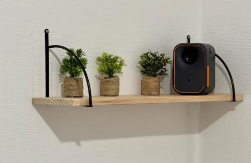 T1 calme et confort Avenue Garibaldi - DABNB - Foto 12