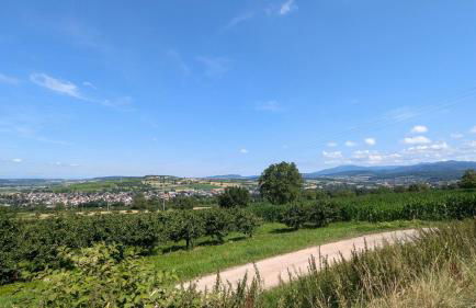 Komfortwohnung nahe Basel mit Parkplatz - Foto 18