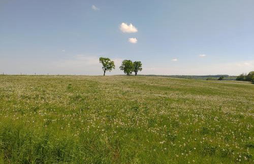 HAUS RINGGAU - Urlaub, Gemeinschaft und Erlebnis im Herzen von Deutschland - Foto 56