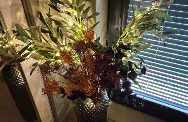 Luxury Lodge by Findhorn Sands No 18 - Foto 20