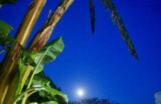 Pool oasis with private parking -Vigia 8 - Foto 62