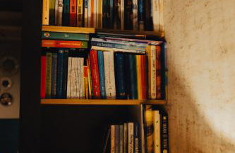 Łap Las Pelnik - Photo 9