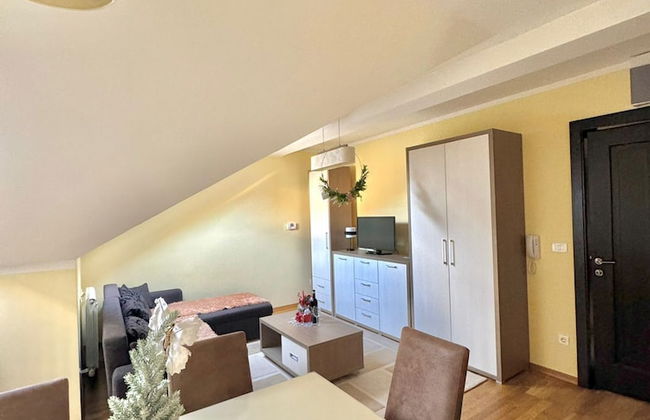 Green Hill Zlatibor Apartment - Photo 8