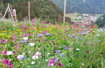 AGRITURISMO BORGO DAMOS - Foto 37