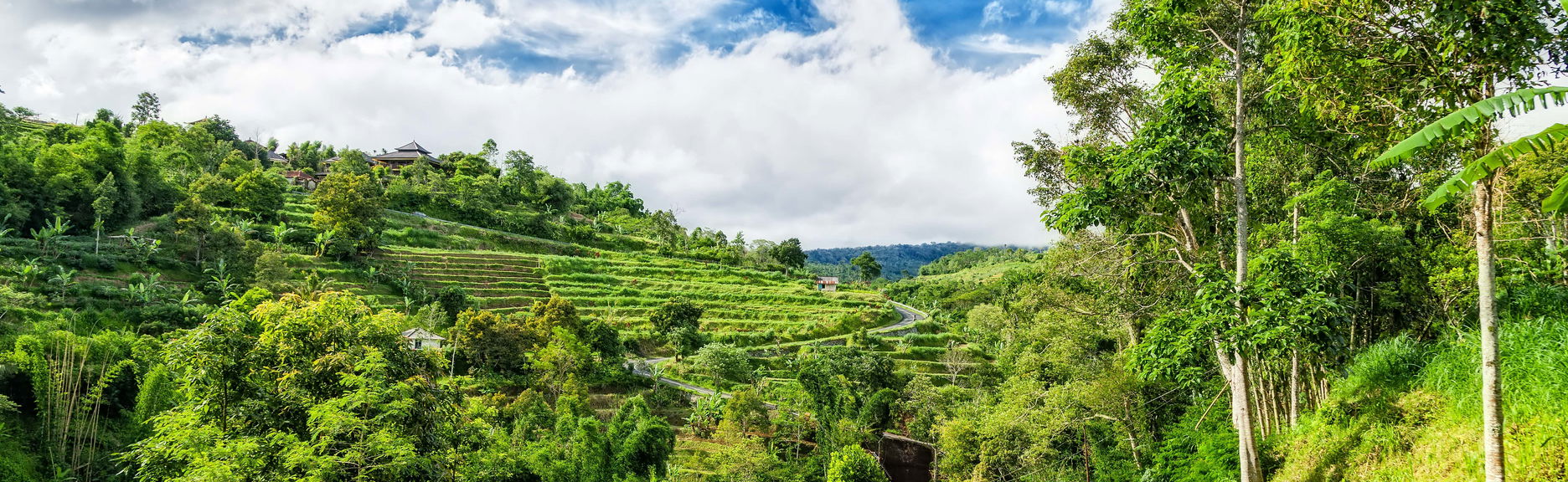 Bali Private Car Rental with Driver - Foto 1