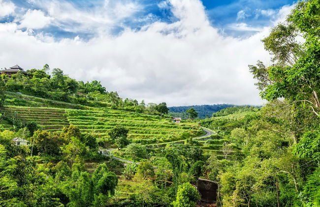 Bali Private Car Rental with Driver - Photo 1