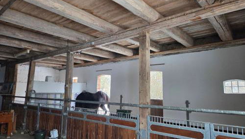 Ferienwohnung Noltenius 2 - Foto 3