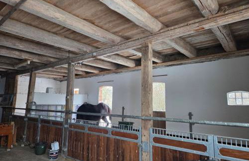 Ferienwohnung Noltenius 2 - Foto 3