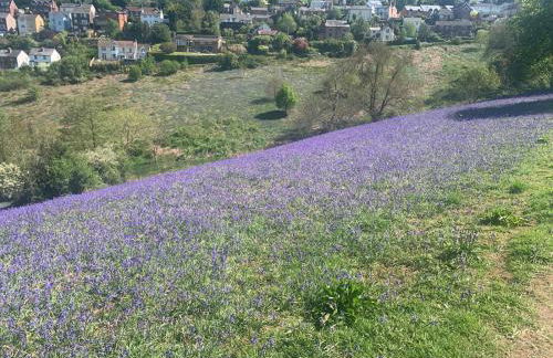 Modern flat nestled in the Malvern Hills Worcestershire - Foto 28