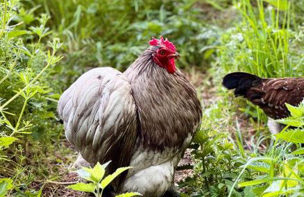 Gutshaus Haidhof - Foto 28