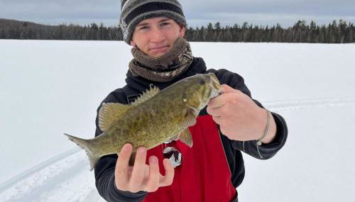 Majestic Maples on Kentuck Lake in Eagle River WI - Foto 2