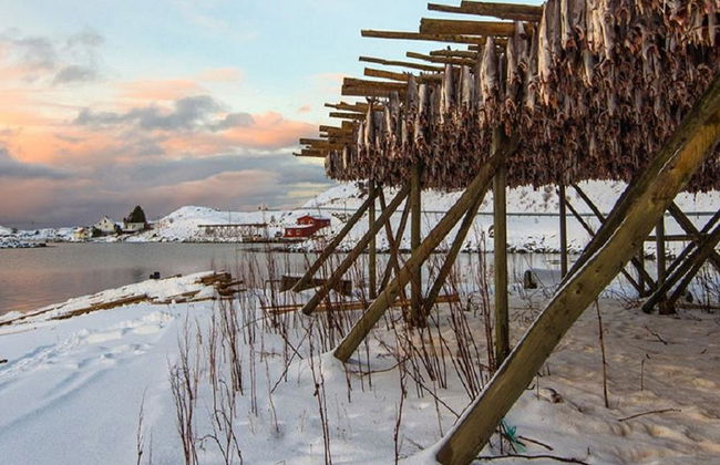 Südløfoten Winter Fototour - Ganztägige Kleingruppentour - Foto 4