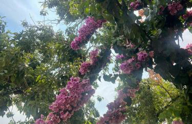 Apartman Angy - Foto 31