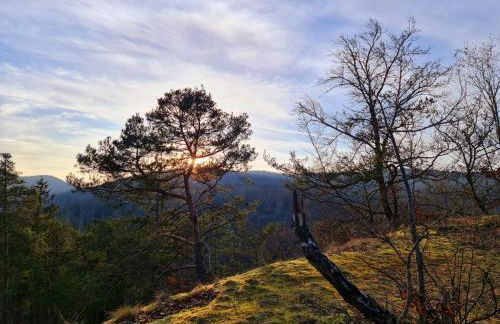 Ferienhaus Schöne Aussicht Ferienwohnung Gelb - Foto 21