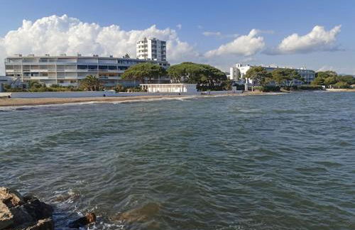 Appartement dans résidence sécurisée avec terrasse vue mer et accès direct plage - Foto 1
