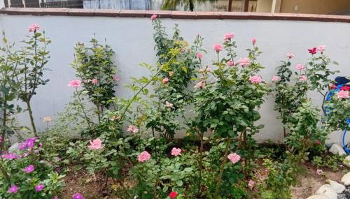 Cantinho do silêncio - Foto 4