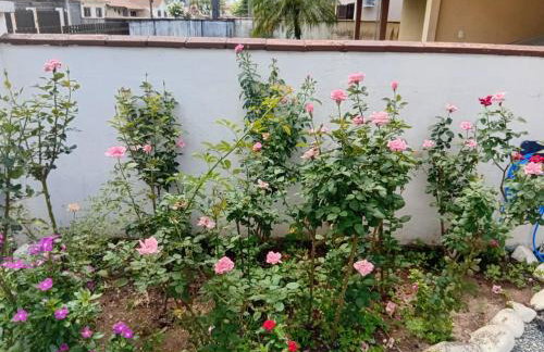 Cantinho do silêncio - Photo 4